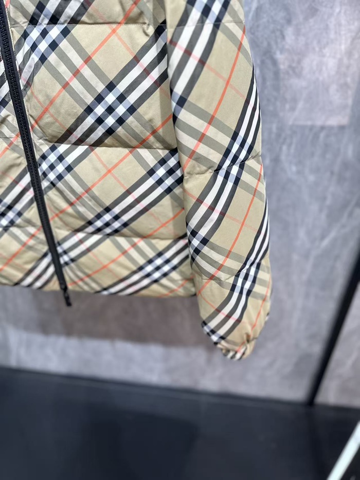 007bc2d53781c74ea50b61c0d8af8617_1761274663_7728.JPG