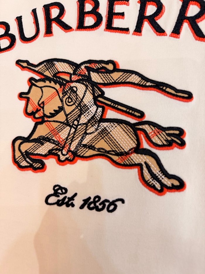 b8b46133a4ed056a42160dd73ba9f97d_1786174069_4702.JPG