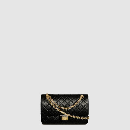 샤넬 여성 2.55 라지 플랩 백 - Chanel Womens 2.55 Large Flap Bag - chb10453x