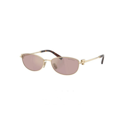 티파니 여성 프리미엄 메탈 프레임 선글라스 - Tiffany Womens Premium Metal Frame Sunglasses - acc7164x