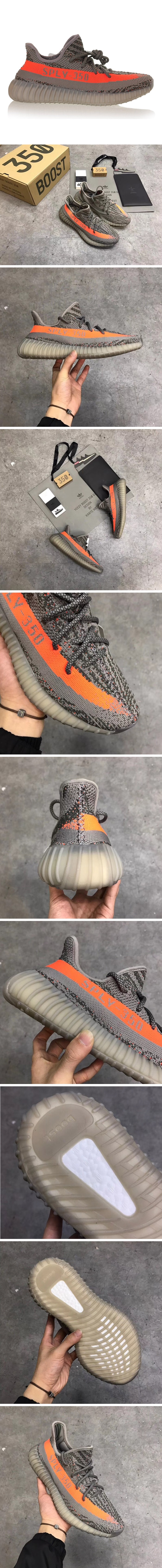 17390_15465949390820.jpg