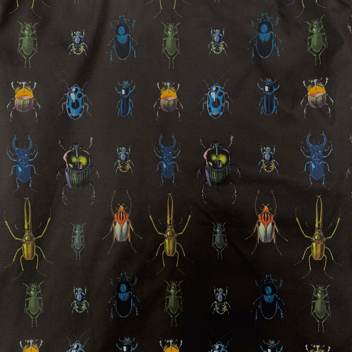 49168_15746663784452.JPG